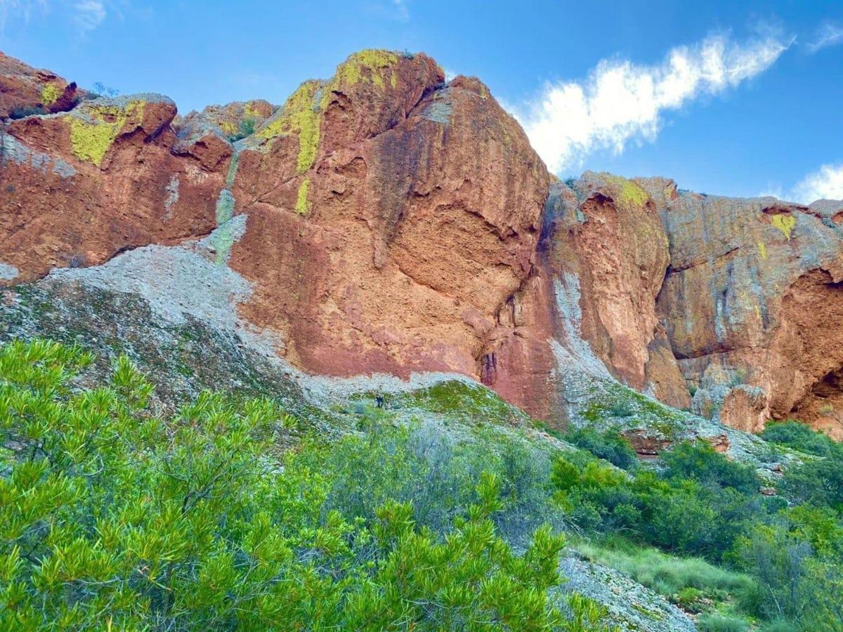 Red Mountain Ridge Karoo Oasis And Guest Farm Lejlighed Buffelskloof Eksteriør billede